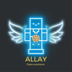 Allay Data Solutions logo